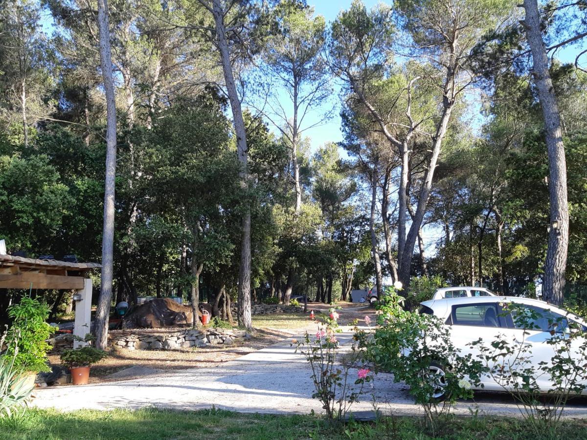 Villa La Licorne Piscine Privee, Jacuzzi, Massages, Tennis, Golf A 9Km Belcodene Zewnętrze zdjęcie